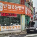엔젤동물병원 이미지