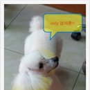 애경동물병원 이미지