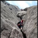 개폼난다 이미지