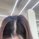 와니살롱 | 대전서구미용실 둔산동미용실 &#34;야도헤어&#34;