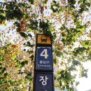 안평초등학교 화장실 | 장안동 일본라면 라멘트럭 신라면 꿀맛