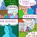 [음감회 후기] 고양이와 함께한 골골음감회...🐈‍⬛ 이미지