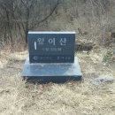 달이산(월이산) 이미지