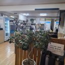 맛집신나는명태조림 이미지