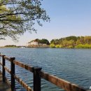 성거동굴펜션 | 천안 독채펜션 추천 성거별님펜션 가족숙소 추천 객실구성 가격 바베큐장 조식뷔페 무료 제공