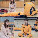 포레스트 이미지