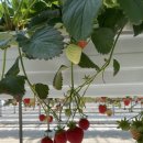 창뜰농장 이미지