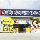 장보는강양이