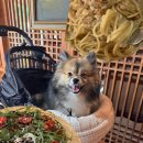 베이컨가평 | 가평 애견동반식당 나무소리 화덕피자 맛집 🍕