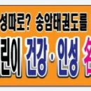 송암줄넘기점핑 네이버블로그