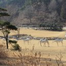 느랭이골자연리조트 이미지