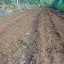 호성농장 이미지