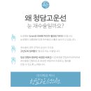 선이고운의원 이미지