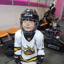 탑동태권도 | 수원 아이스하키 수업 후기 ｜호네츠 아이스하키 수업 느낀 점