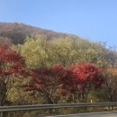 아리아리 호텔 이미지