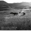 아낌없이주는나무 Daum카페