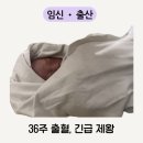 제왕주차장,참마트 등 | 36주 임신 출혈, 분당서울대병원에서 긴급 제왕절개 출산 후기