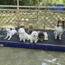 니멍내멍 이미지