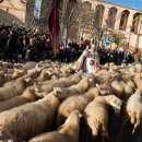 축복농장 이미지