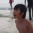 제주평강 이미지