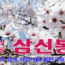 4/6(토) 관광팀:화개장터+쌍계사벚꽃십리길,산행팀:삼신봉+쌍계사벚꽃십리길 이미지