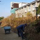 동강중학교 이미지