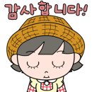 네꼬네일 이미지