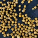 세심보건진료소 | [심콩이 461일] 오랜만에 서울형키즈카페 노리몽땅 중림점 뚜벅이 지하철로 가는 방법 / 병아리콩 간식...