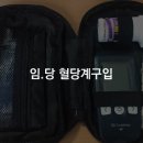 임당 이미지
