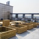 중앙한방병원 이미지