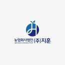 디자인딜라이트 이미지