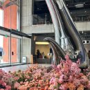 올데이스테이 이미지