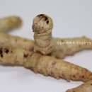 힘찬농장 이미지