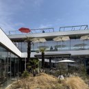 마실(언양) | 울산 언양 작천정 벚꽃 뷰 카페 이너리트 베이커리맛집