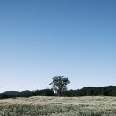 더 세리 호스텔 이미지