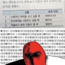 땡벌 이미지