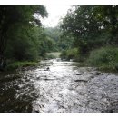 라라솔캠핑장 이미지