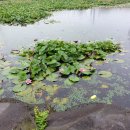 오조리마을회관 이미지