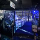 무지개해양수족관 | [서울] 리뉴얼 된 코엑스 아쿠아리움을 다녀오다! 씨라이프 코엑스 아쿠아리움 방문 후기🐟🐠🐡🦈