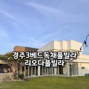펜션리오 | 경주 불국사 3룸 독채펜션 리오다풀빌라 내돈내산 후기