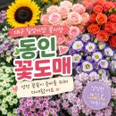 세븐일레븐 대구동인중앙점 | 대구 칠성시장 꽃시장 동인꽃도매 : 성전 꽃꽂이 준비를 위해 다녀왔어요.