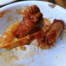 칠암산곰장어