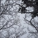 덕유산펜션 이미지