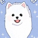 한끼멍냥 이미지