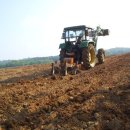 마한농장 이미지