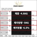 하이바디짐 네이버블로그