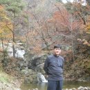 사인텍 - 포항시 북구 장성로 110 | 사인텍