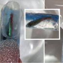 써니네일써니nail 이미지