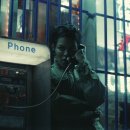 진보퍼피 이미지