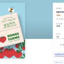 디자인토마토 이미지